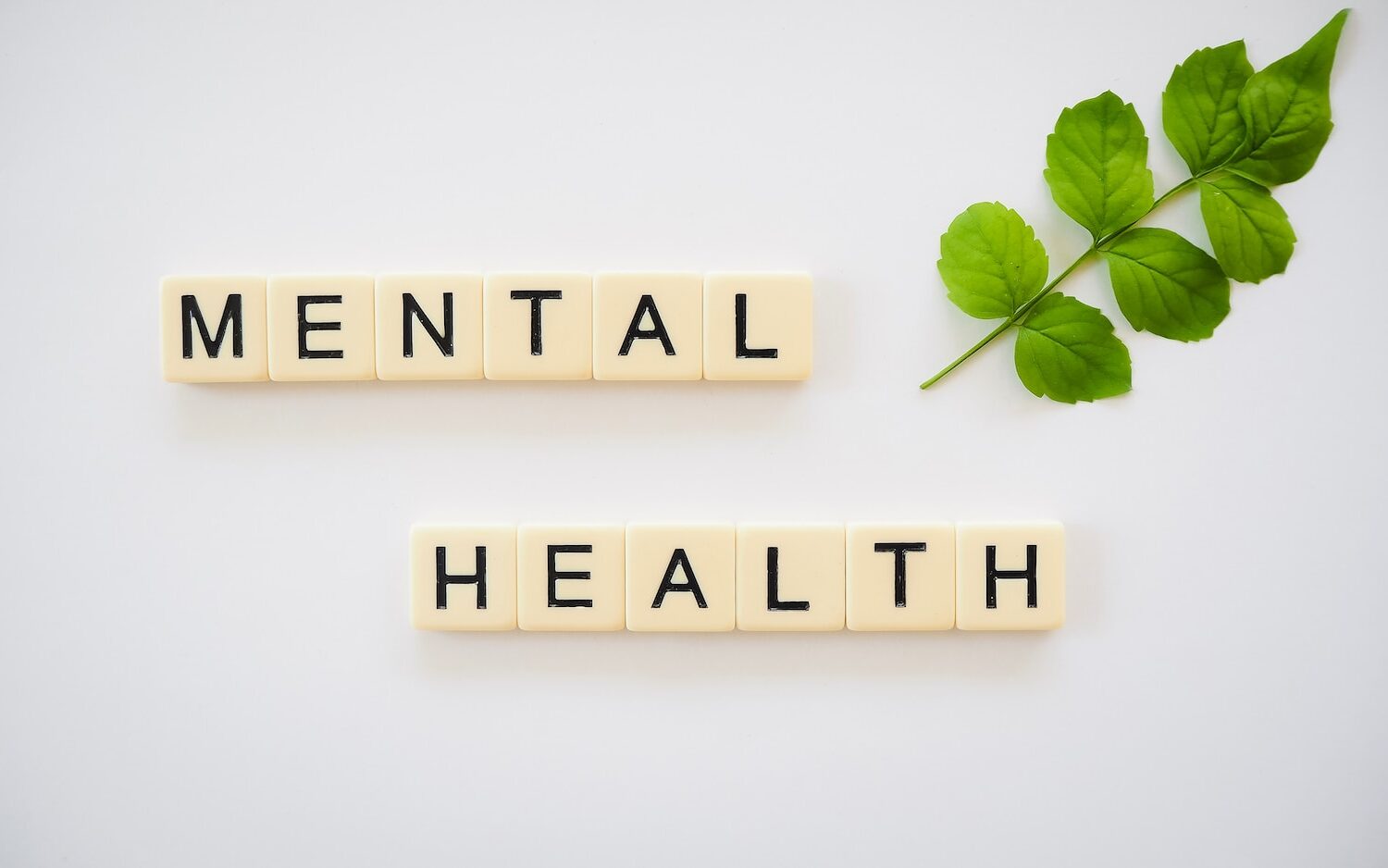 the word mental health spelled with scrabbles next to a green leaf