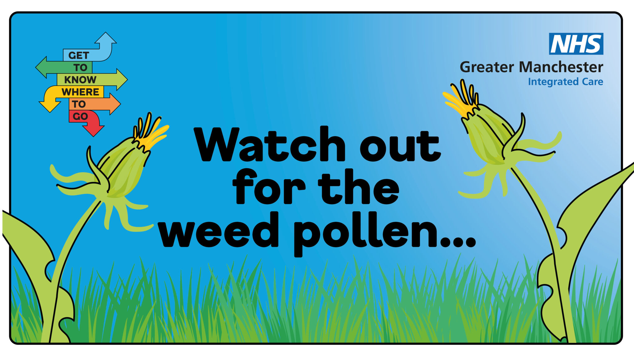 Summer Holidays Weed out Pollen this August Poplars Medical Centre