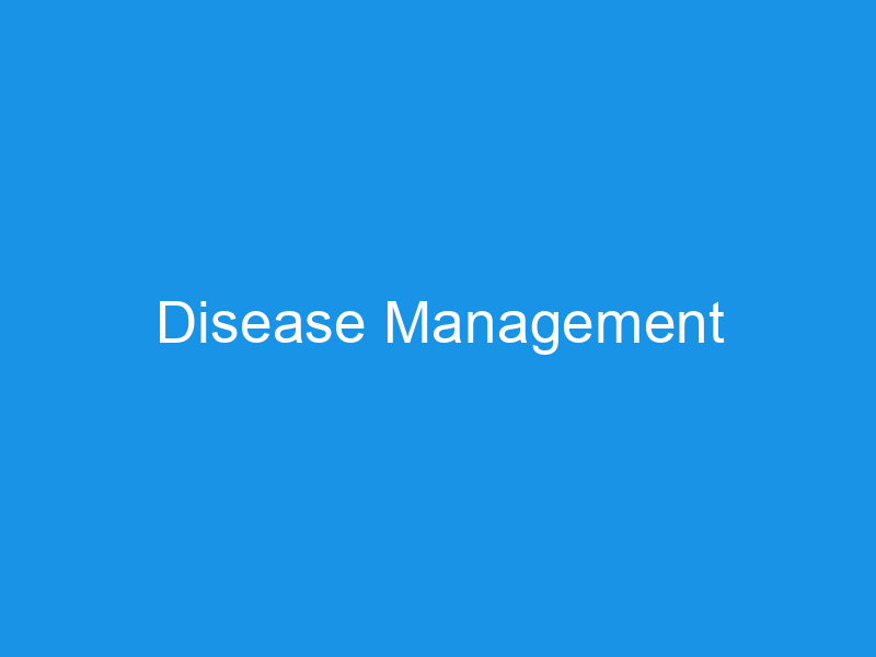 Disease Management Imperial Medical Practice